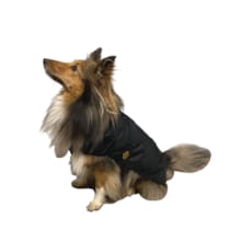 Hunde-Regenmantel mit Fleecefutter - Schwarz Hunde-Regenmantel mit Fleecefutter - Schwarz